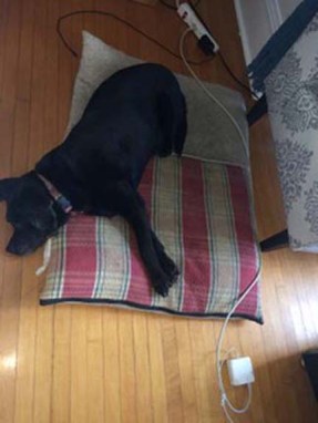 Brenda's Workspace 1